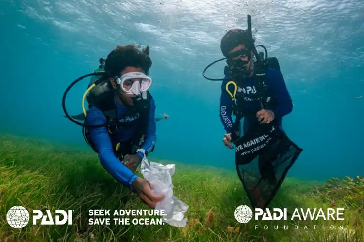 Divers collecting marine debris during a PADI AWARE survey