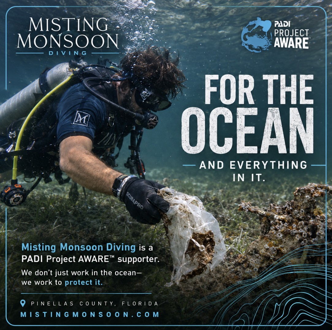 Misting Monsoon Diving is a PADI Project AWARE supporter — a diver recovering plastic debris from a seagrass bed in Pinellas County, Florida