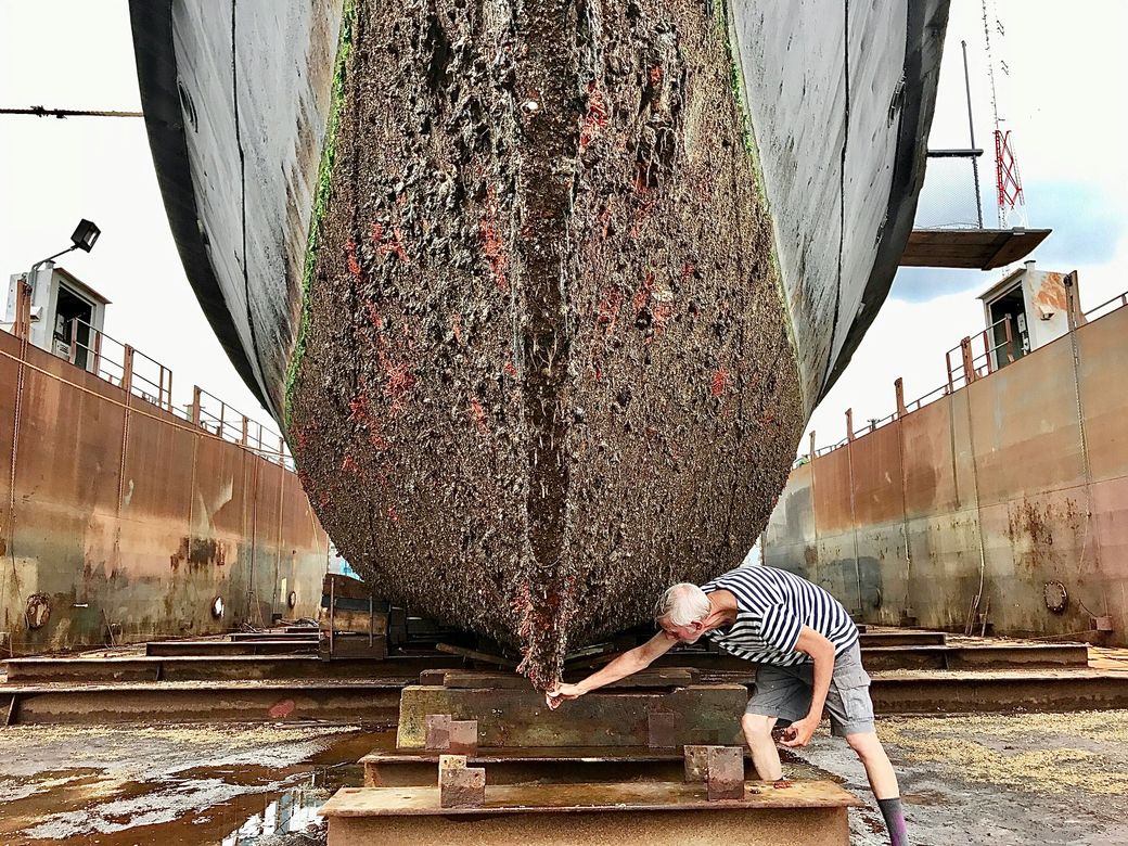 Heavy marine growth on a boat hull hauled out in dry dock