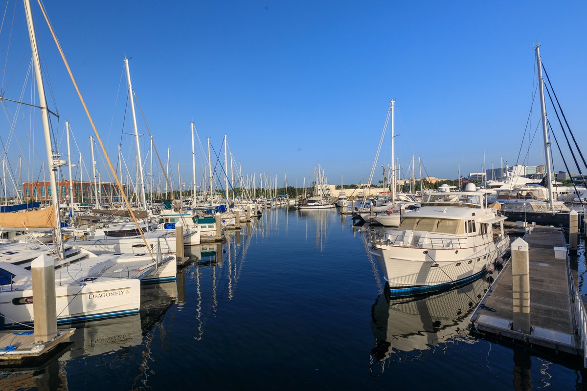 Docks at Harborage.