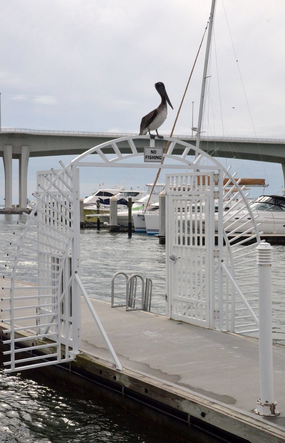 Clearwater, on the harbour.