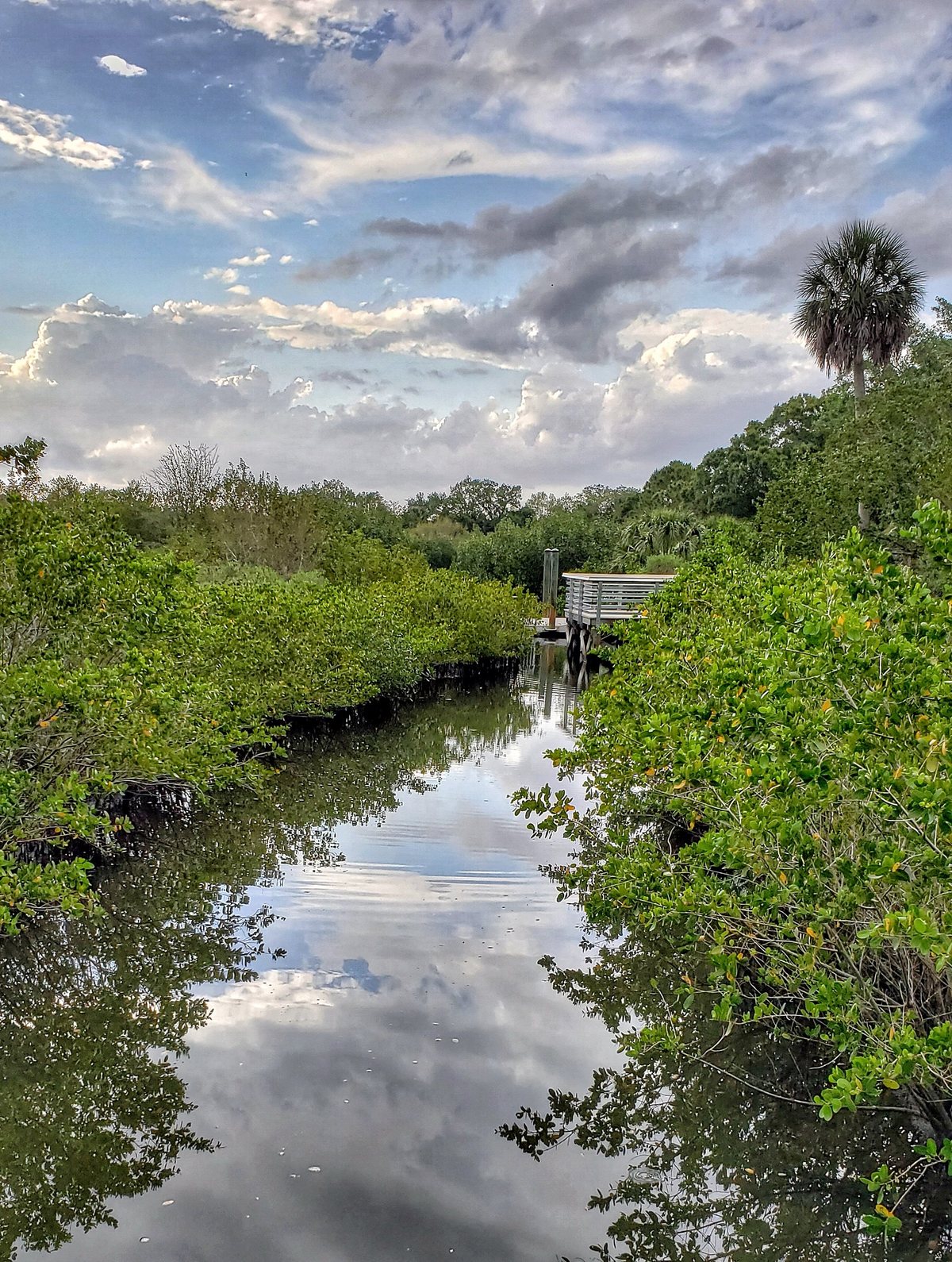 Clam Bayou.