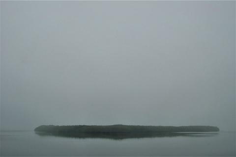 Mangrove and bayou.
